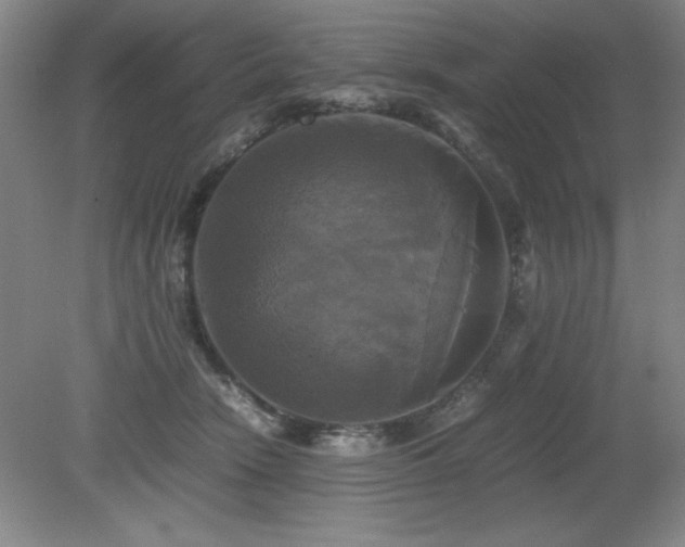 X0000079320466200611171127