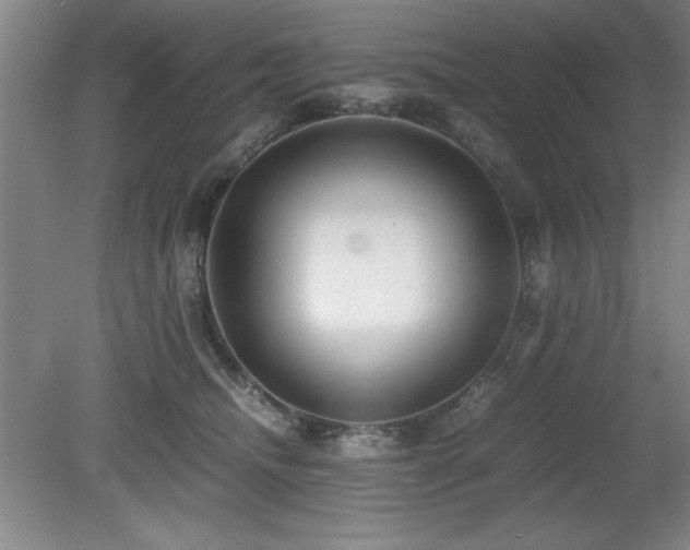 X0000079320468200611171127