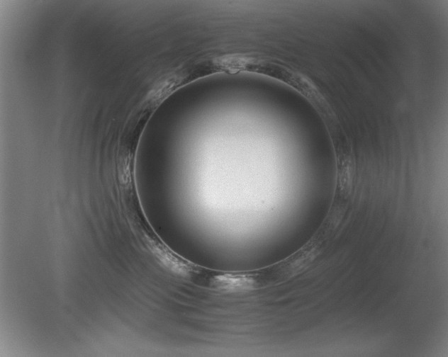 X0000079320477200611171128