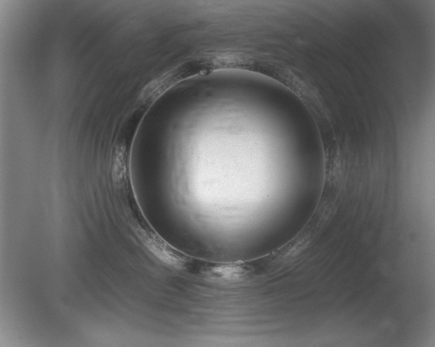 X0000079320478200611171128