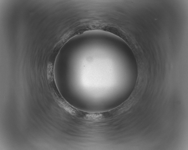 X0000079320480200611171128