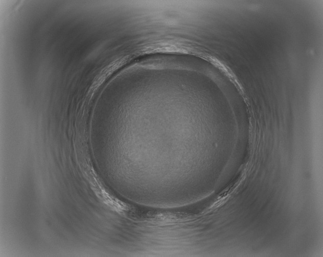 X0000079320481200611171127