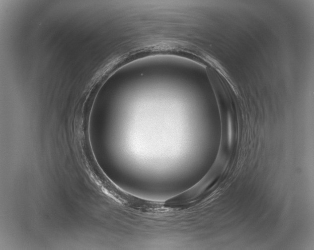 X0000079320485200611171127