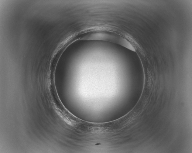 X0000079320486200611171127