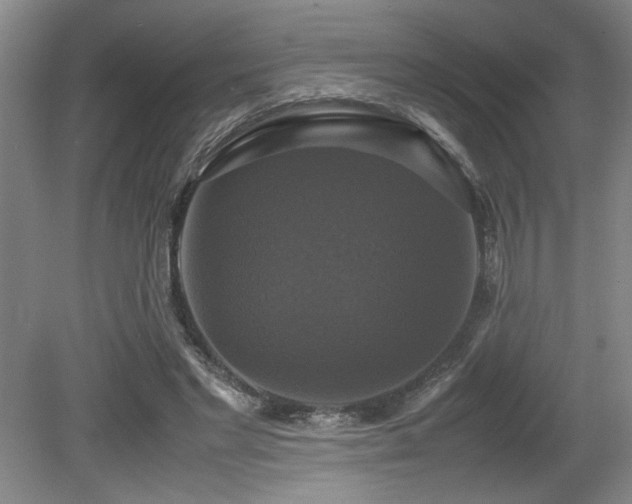 X0000079320493200611171127