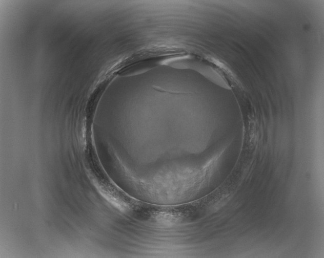 X0000079320494200611171127