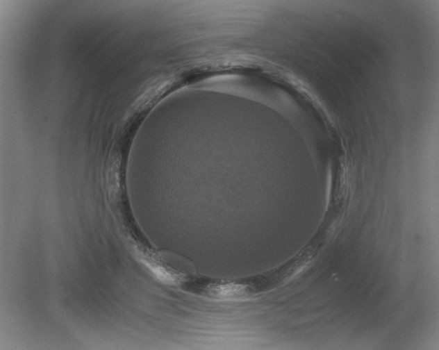 X0000079320501200611171126