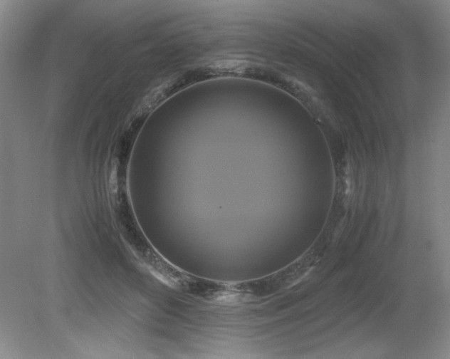 X0000079320504200611171126