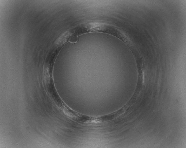 X0000079320506200611171126