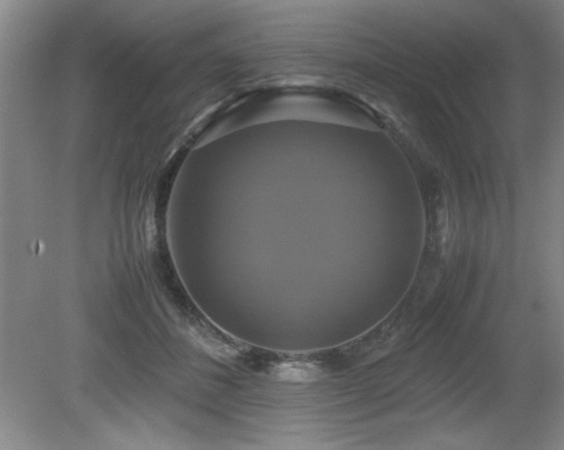 X0000079320508200611171126
