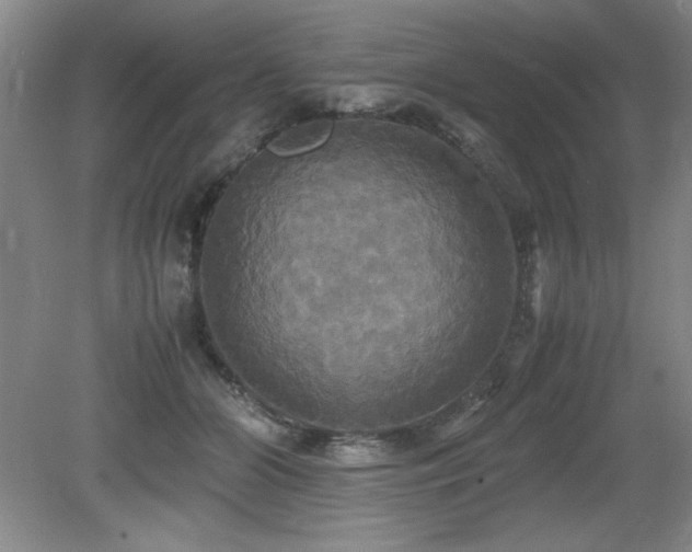 X0000079320510200611171126