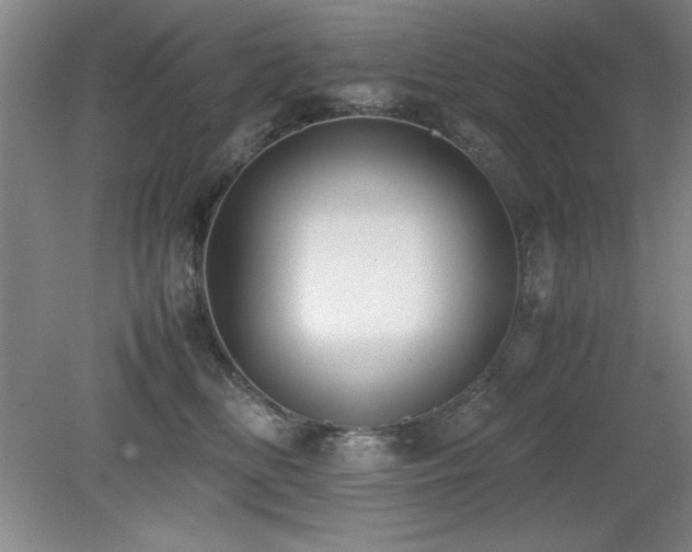 X0000079320518200611171126