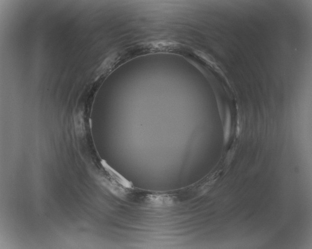 X0000079320520200611171126