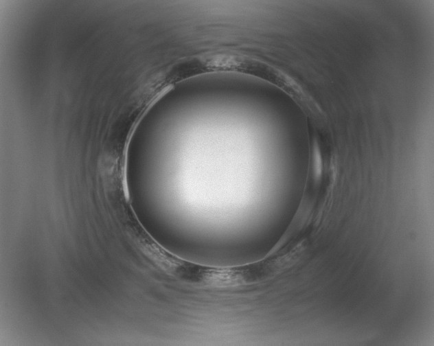 X0000079320521200611171126