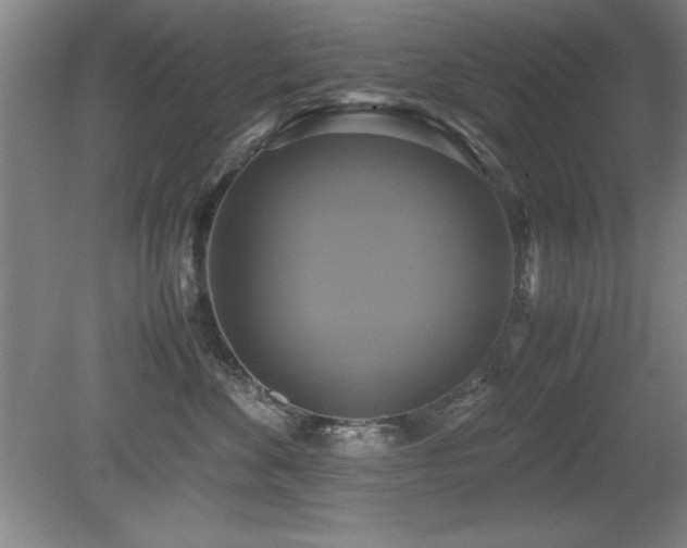 X0000079320524200611171126