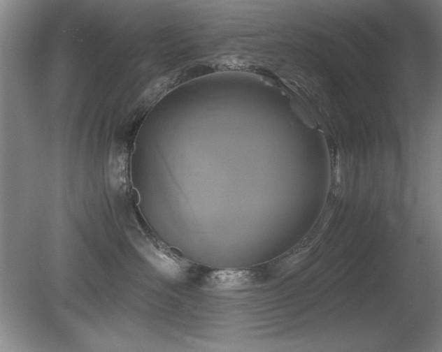X0000079320526200611171126