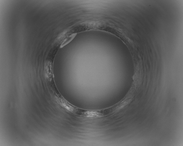 X0000079320528200611171126