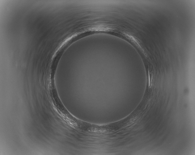 X0000079320531200611171125