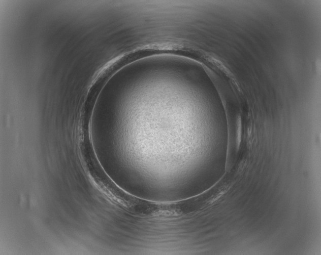 X0000079320536200611171125