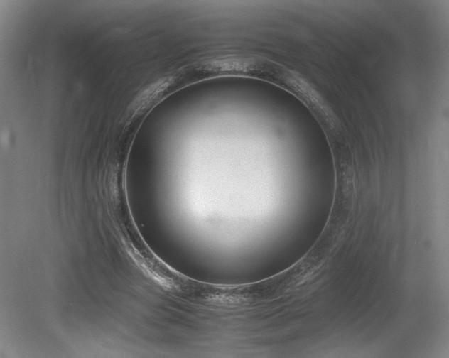 X0000079320537200611171125
