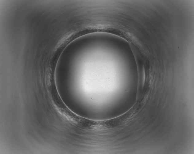 X0000079320544200611171125