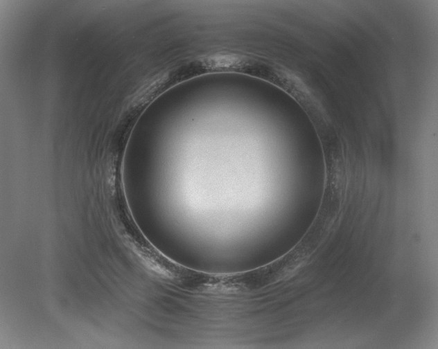 X0000079320545200611171125