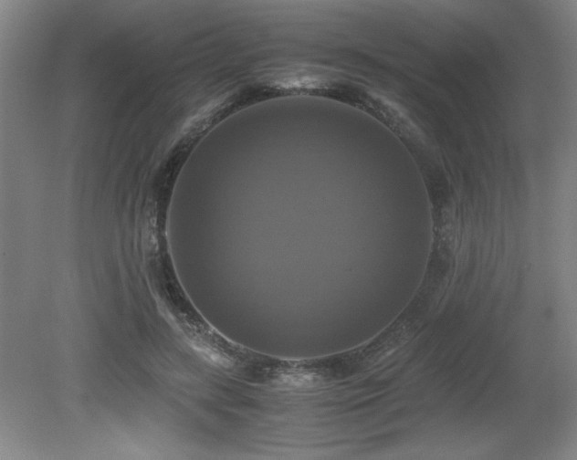 X0000079320547200611171125