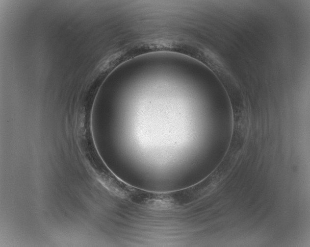 X0000079320548200611171126
