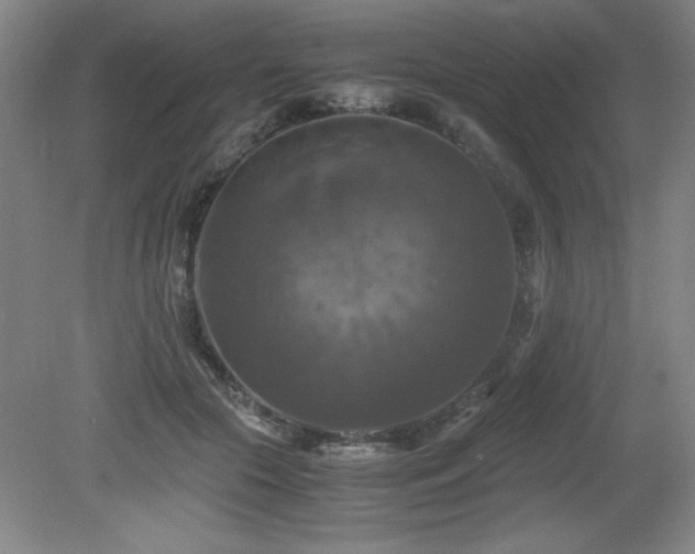 X0000079320553200611171126