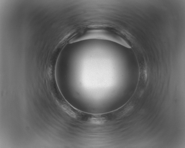 X0000079320556200611171126