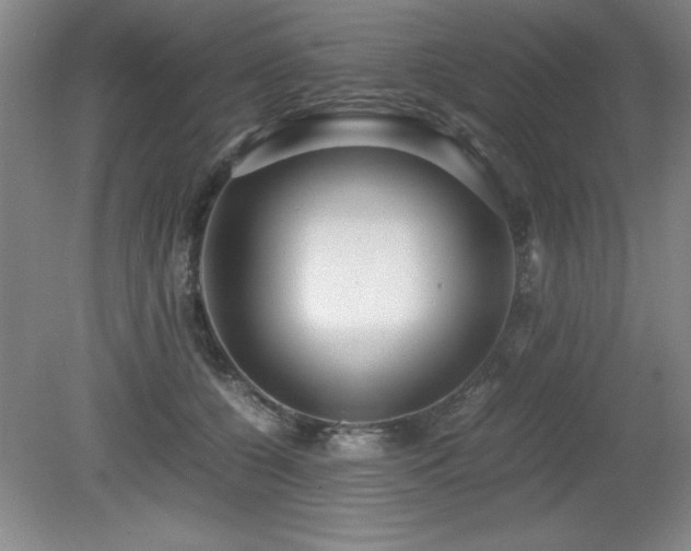 X0000079320560200611171126