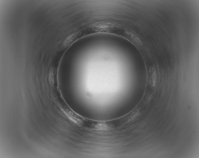 X0000079320562200611171126