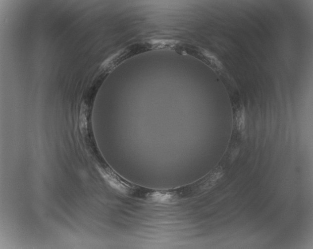 X0000079320570200611171126