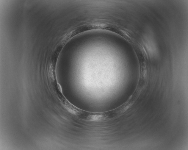 X0000079320575200611171126