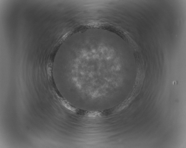 X0000079320576200611171126