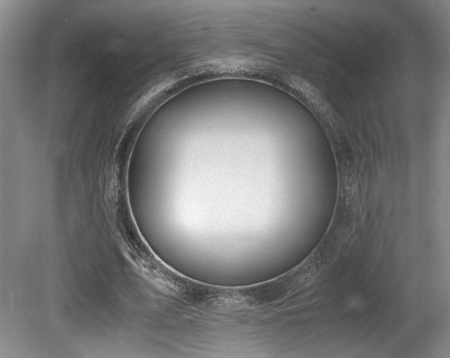 X0000079320583200611171125