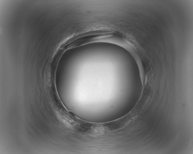 X0000079320587200611171125