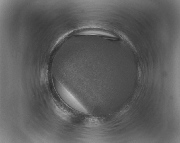 X0000079320588200611171125