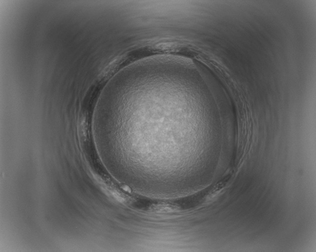 X0000079320597200611171125