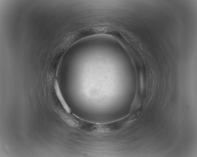 X0000079320601200611171125