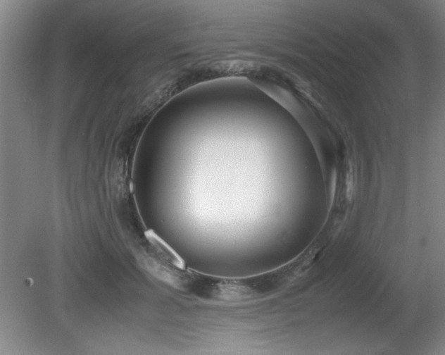 X0000079320605200611171125