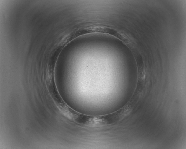 X0000079320607200611171125