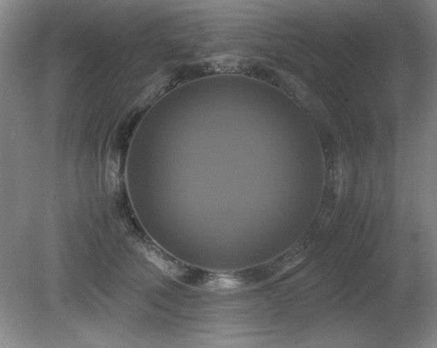 X0000079320610200611171125