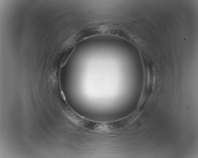 X0000079320611200611171125