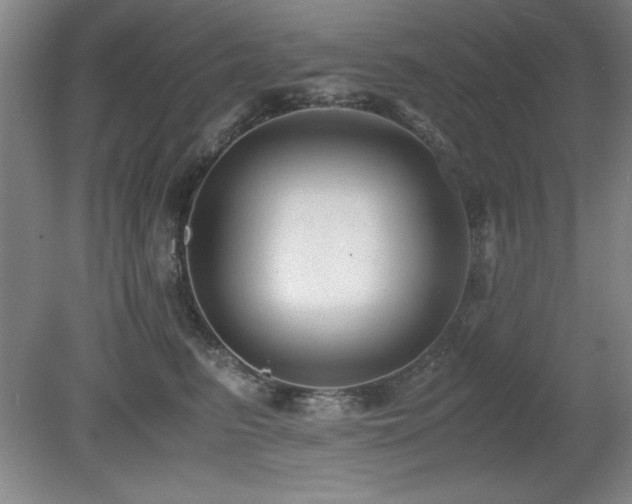 X0000079320615200611171125