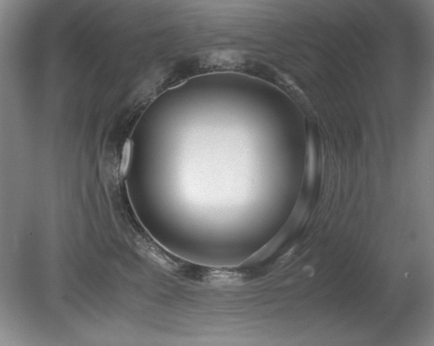 X0000079320617200611171124