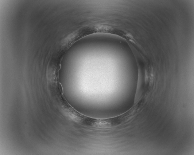 X0000079320619200611171124
