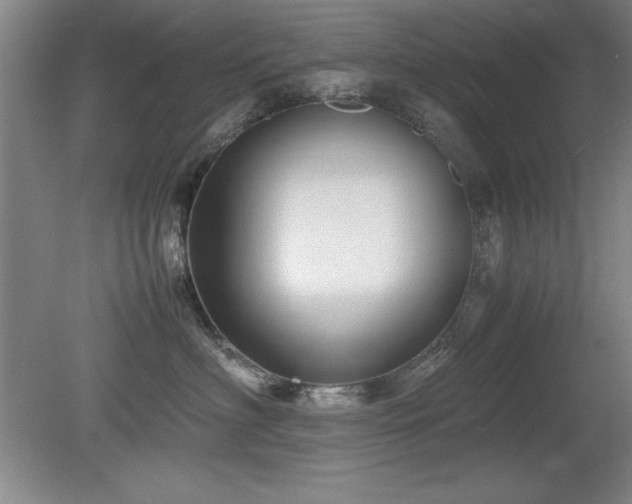 X0000079320622200611171124