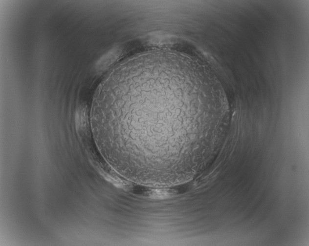 X0000079320623200611171124