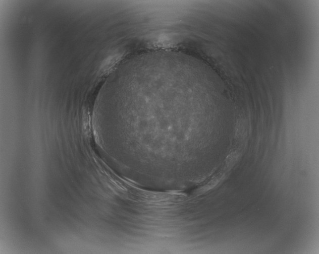 X0000079320624200611171124